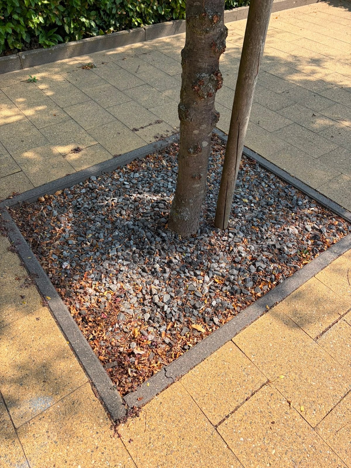 Decoratieve grijze split voor tuin of boomspiegel gratis, Ophalen, Overige materialen, Gebruikt, Split