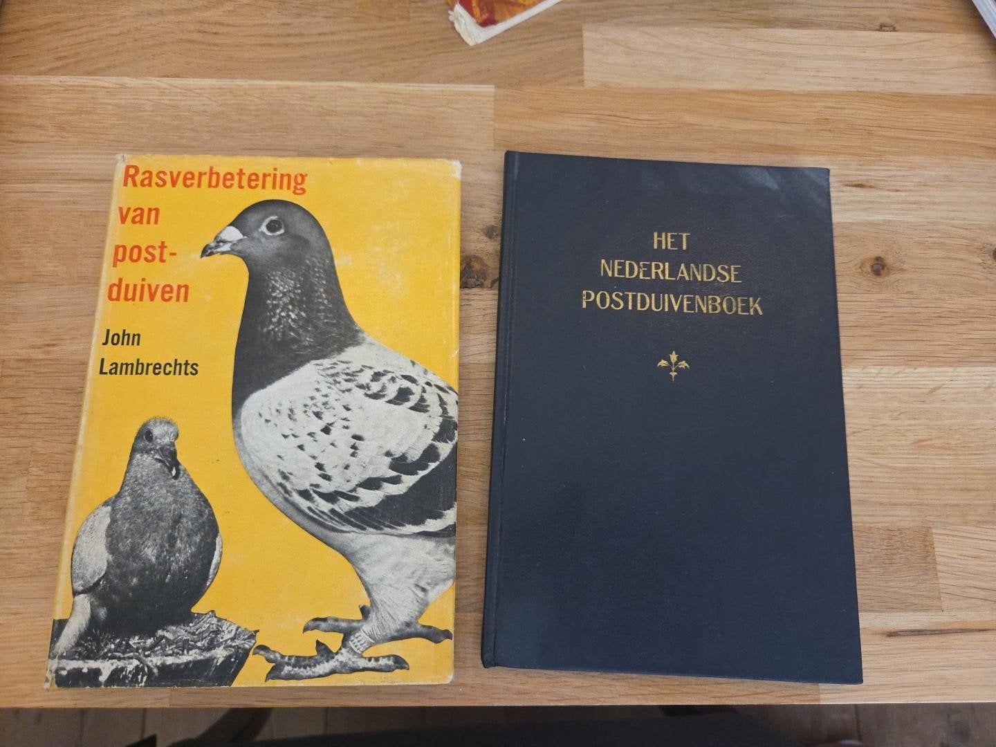 Boeken over postduiven: Nederlands Postduiv, Ophalen of Verzenden, Gelezen, Overige onderwerpen, John Lambrechts