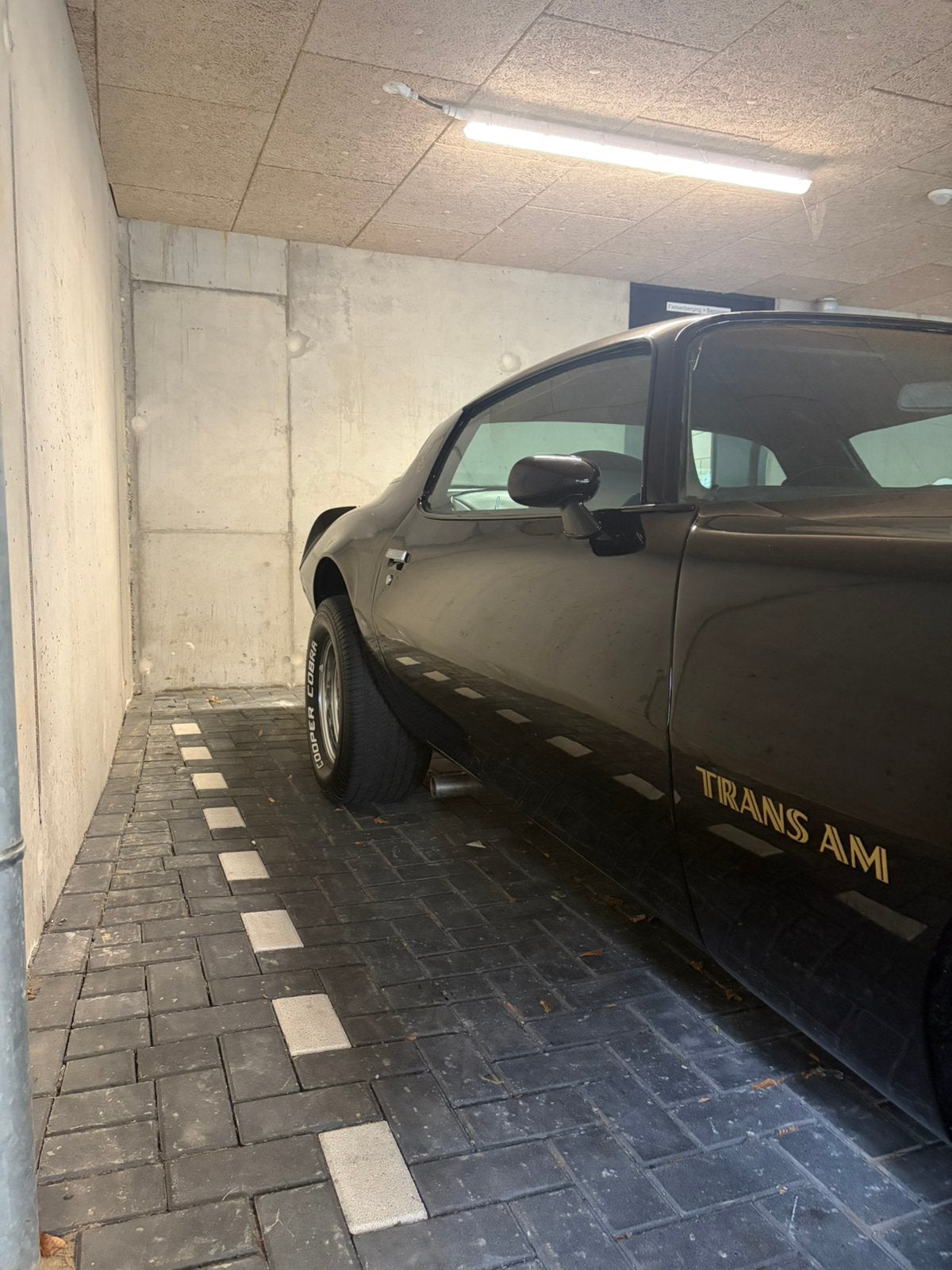 Pontiac Firebird 1976 5.7, foto 6