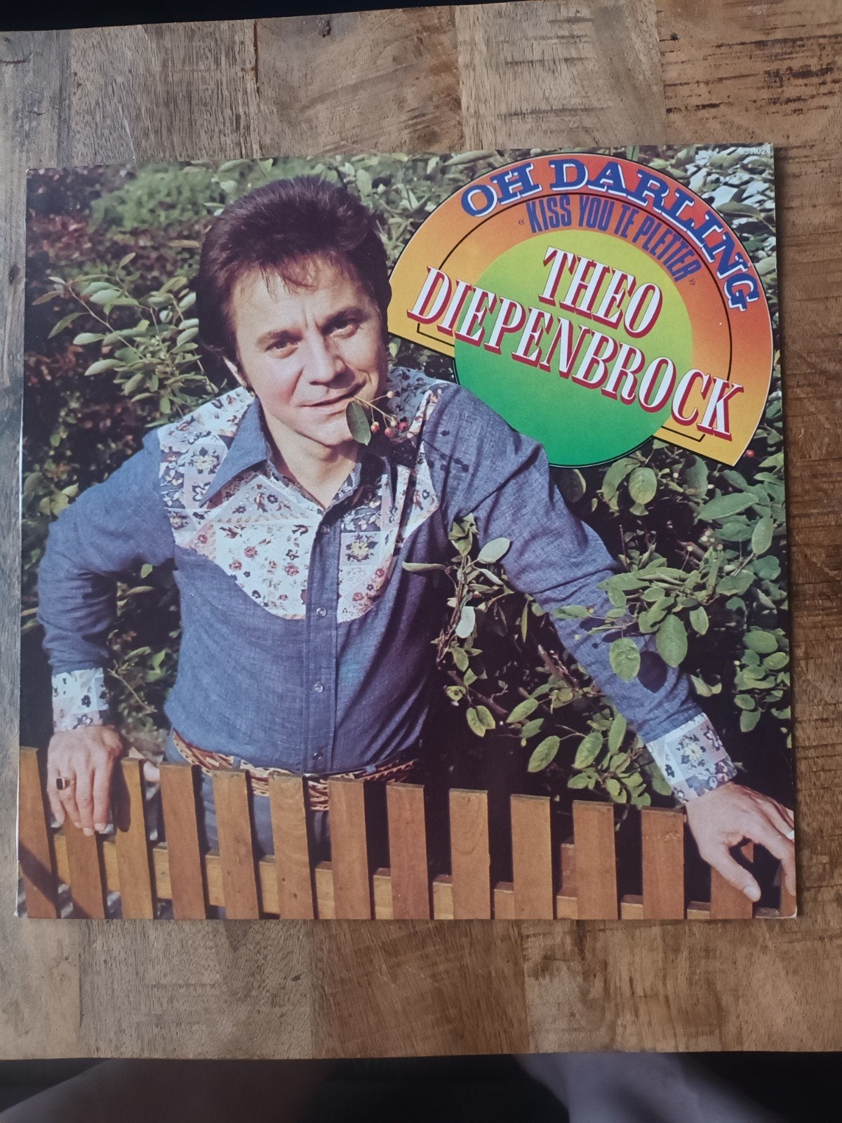 Vinyl Theo Diepenbrock - Oh Darling "Kiss You Te Pletter", Ophalen of Verzenden, 1970 - 1979, Gebruikt, Levenslied of Smartlap