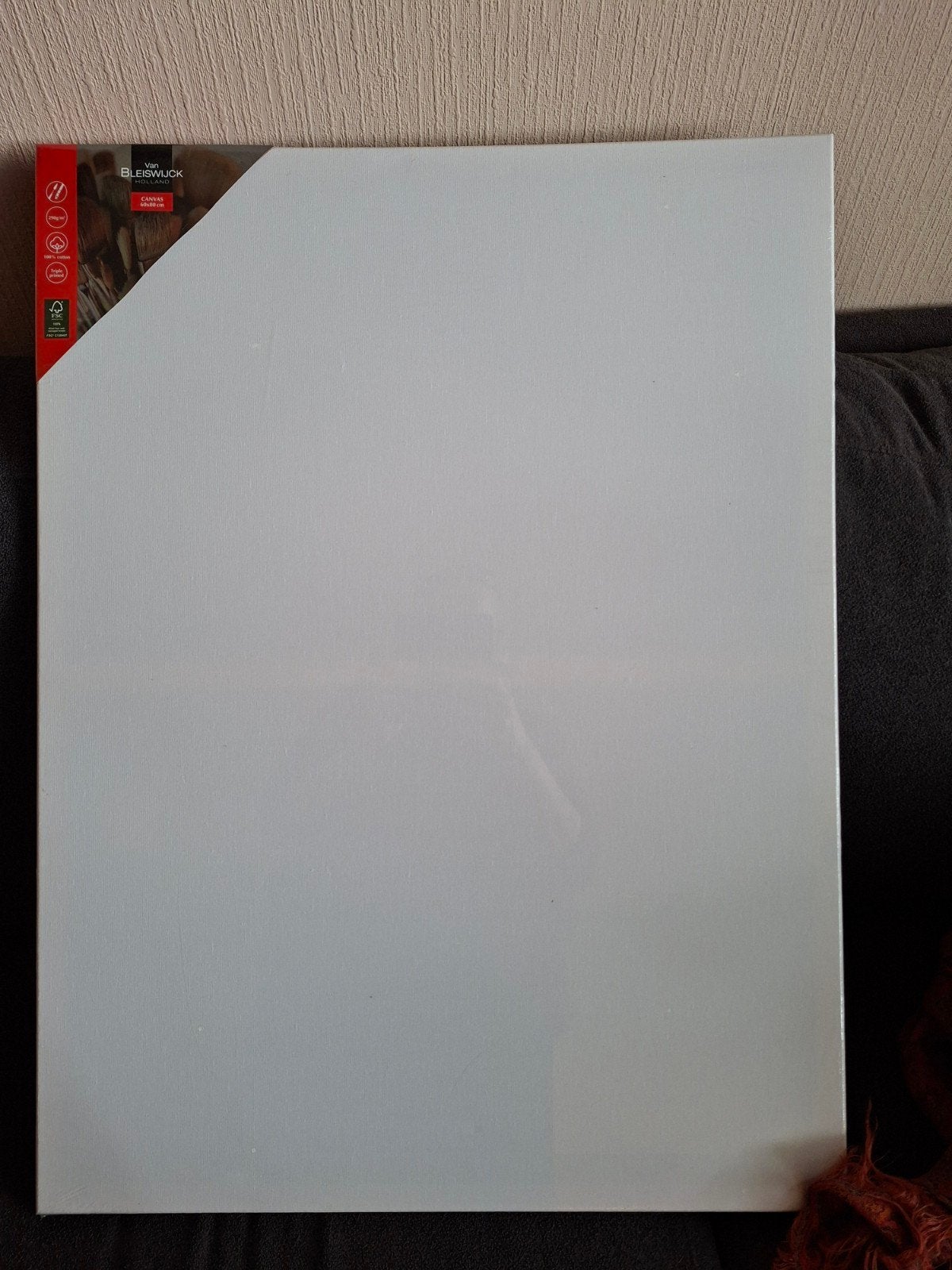 Nieuw Canvas Schilderdoek 60x80 cm - Van Bleiswijck, Ophalen of Verzenden