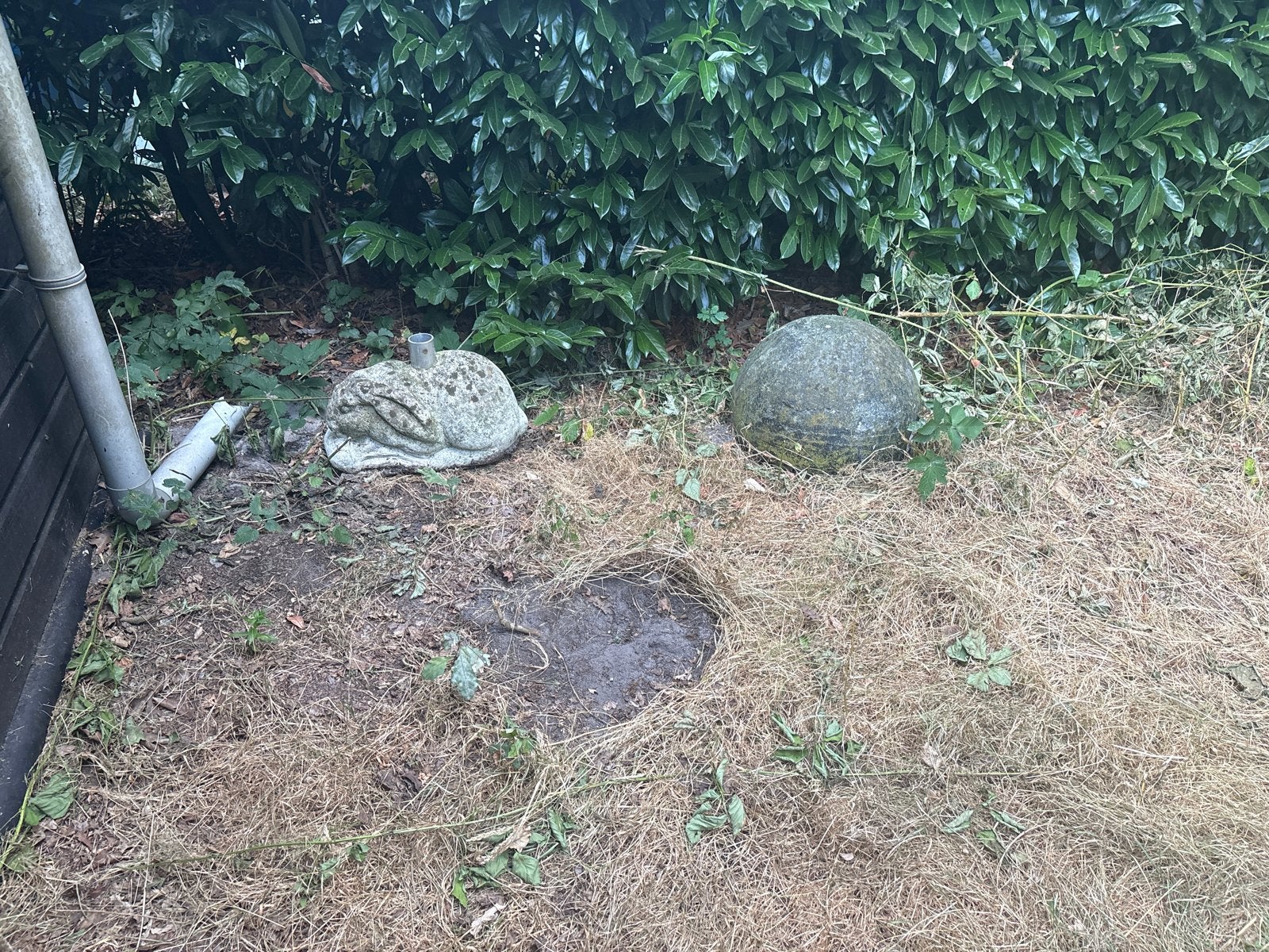 Gratis parasolvoet en betonnen bal, Ophalen, Gebruikt, Beton, Overige typen