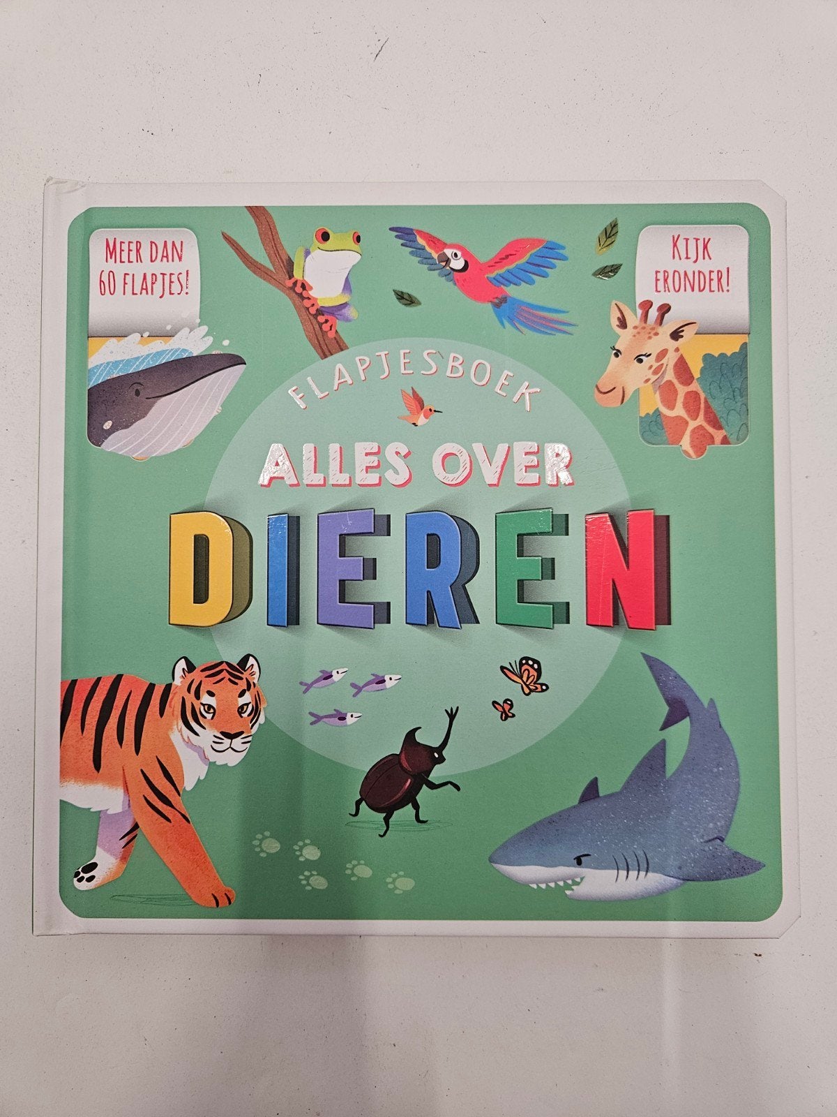 Helen Catt - Flapjesboek Alles over dieren, Ophalen of Verzenden, Zo goed als nieuw, Helen Catt