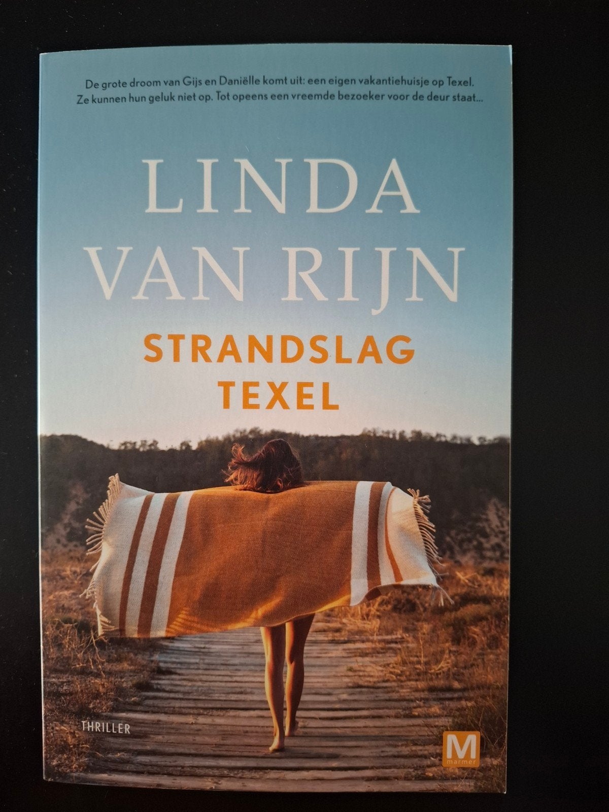 Linda van Rijn - Strandslag Texel, Linda van Rijn, Ophalen of Verzenden, Zo goed als nieuw, Nederland