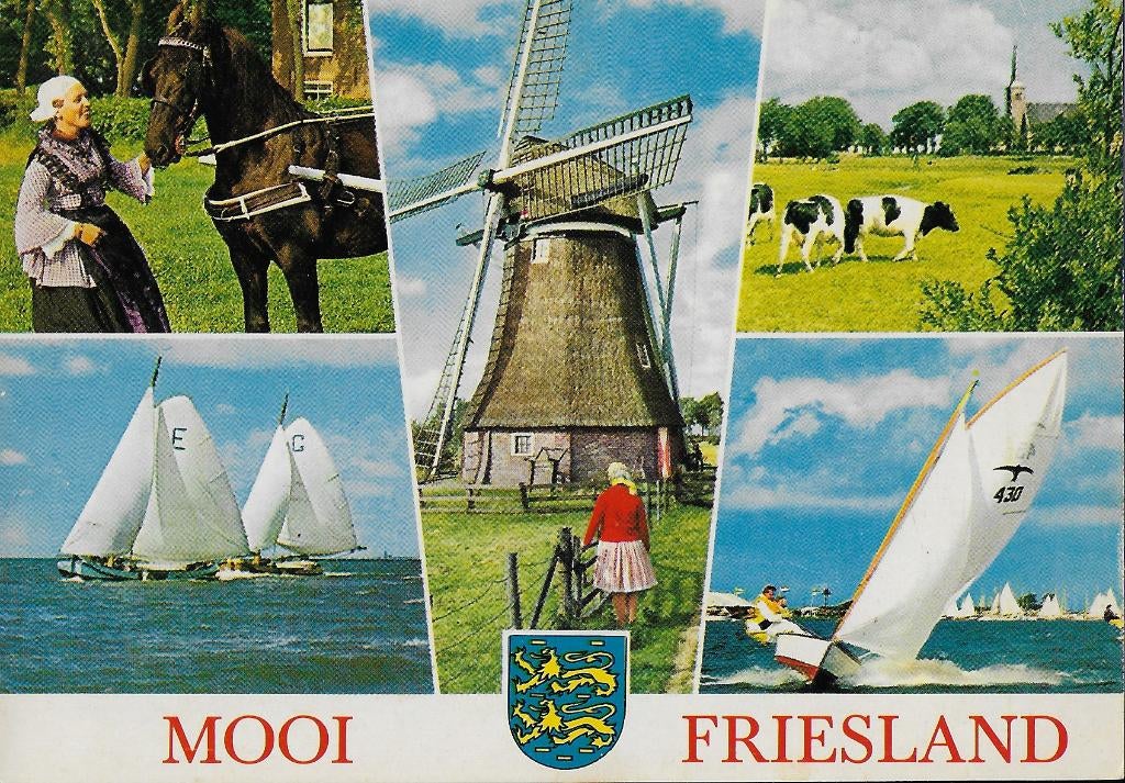 Mooi friesland ongelopen ansichtkaart ( 1024 ), Ophalen of Verzenden, 1980 tot heden, Ongelopen, Friesland