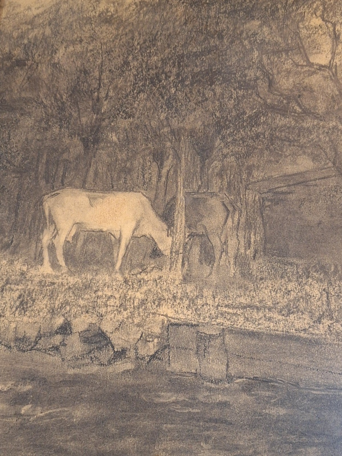 Tekening van koeien door Ype Wenning, Antiek en Kunst, Ophalen of Verzenden, Tekening, Potloodtekening, Gesigneerd