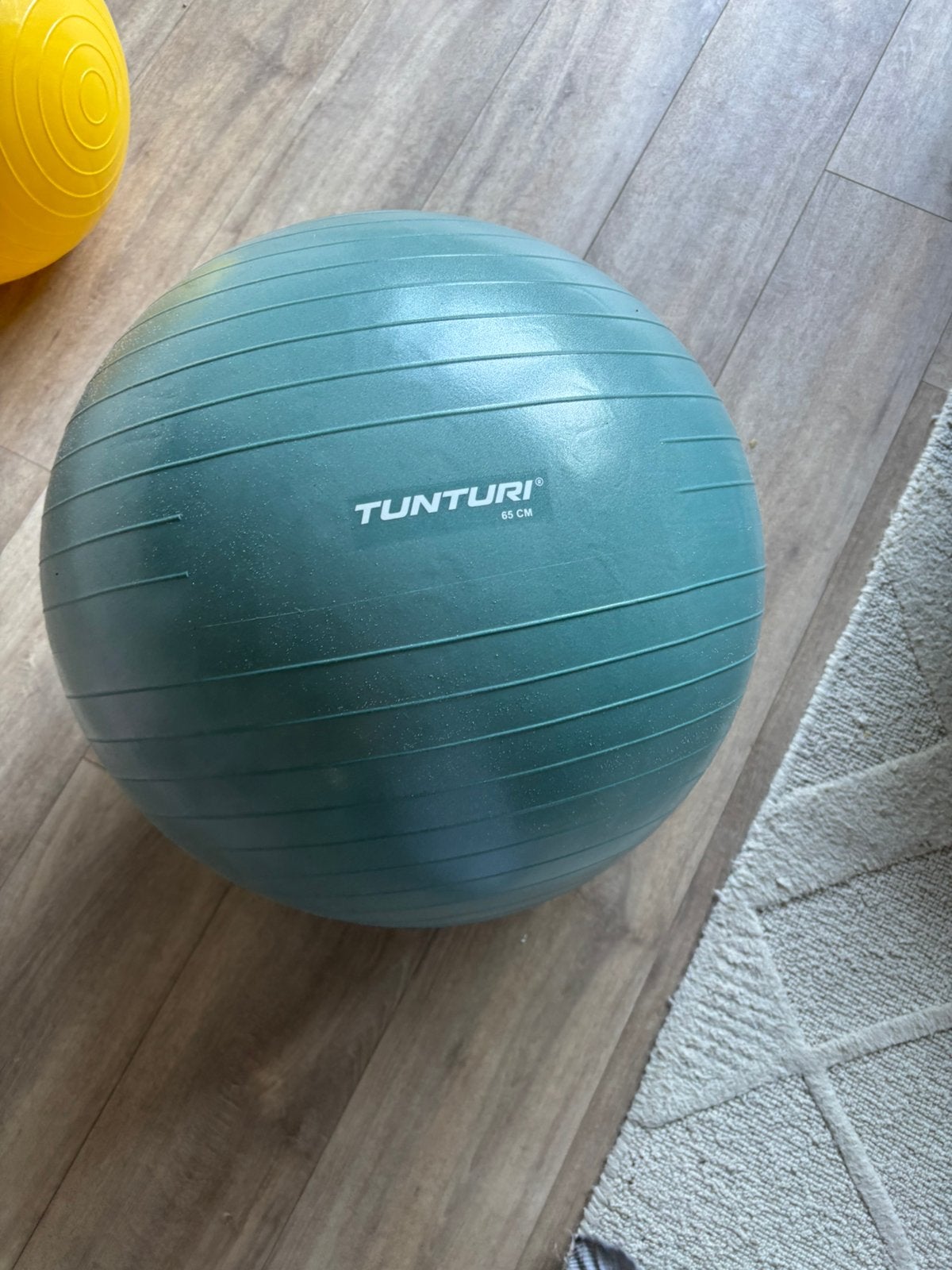 Fitness bal 65cm, Ophalen, Nieuw