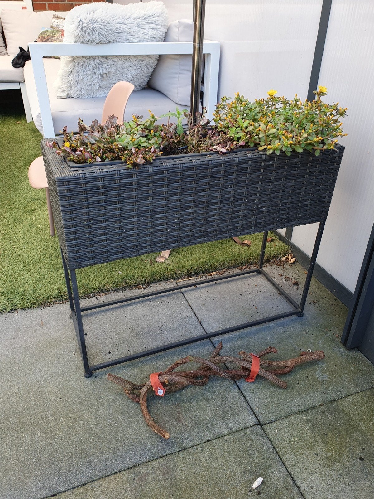 plantenbak incl planten, Ophalen, Rond