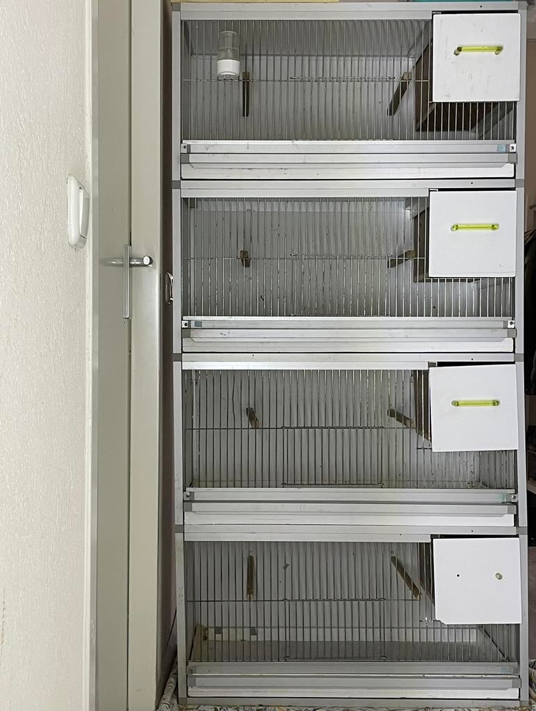 Complete Kweekkooi Broedkooien van Keulen Aluminium, Dieren en Toebehoren, Vogels | Hokken en Kooien, Ophalen, Zo goed als nieuw