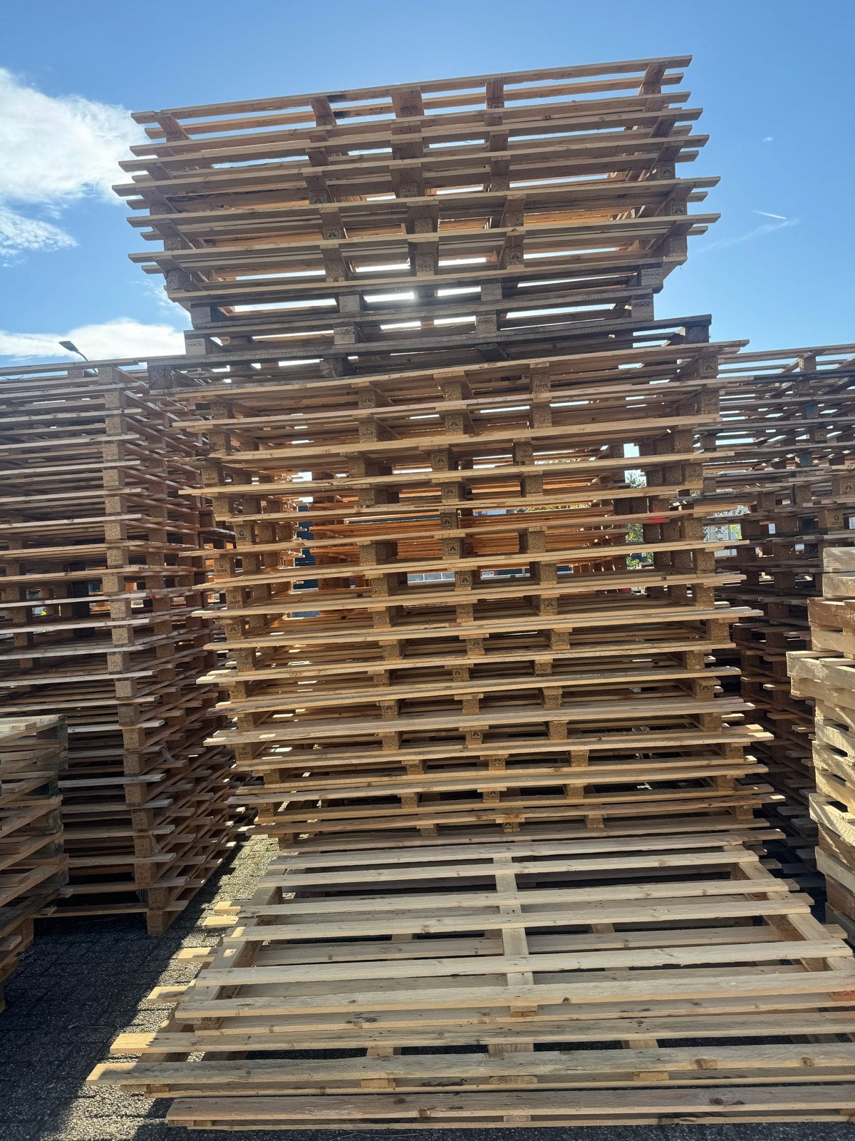 222 Pallets 2400x1200mm - 240x120cm Partij houten pallets, Ophalen, Gebruikt, 200 tot 250 cm, 50 mm of meer