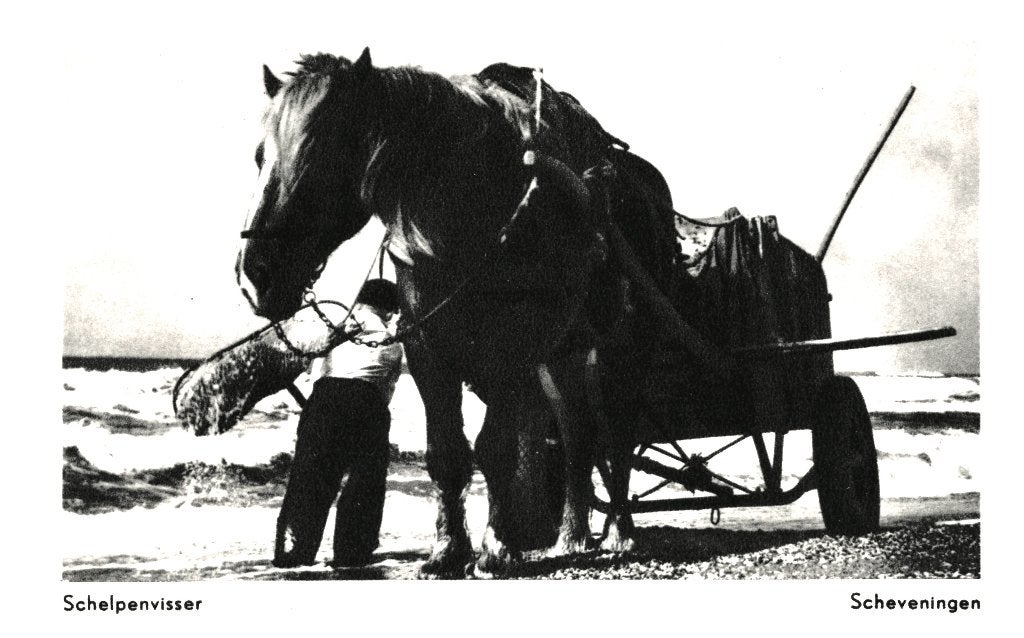 806344 Scheveningen Scheplenvisser ZH Nette oude kaart onbes, Ophalen of Verzenden, 1960 tot 1980, Ongelopen, Zuid-Holland