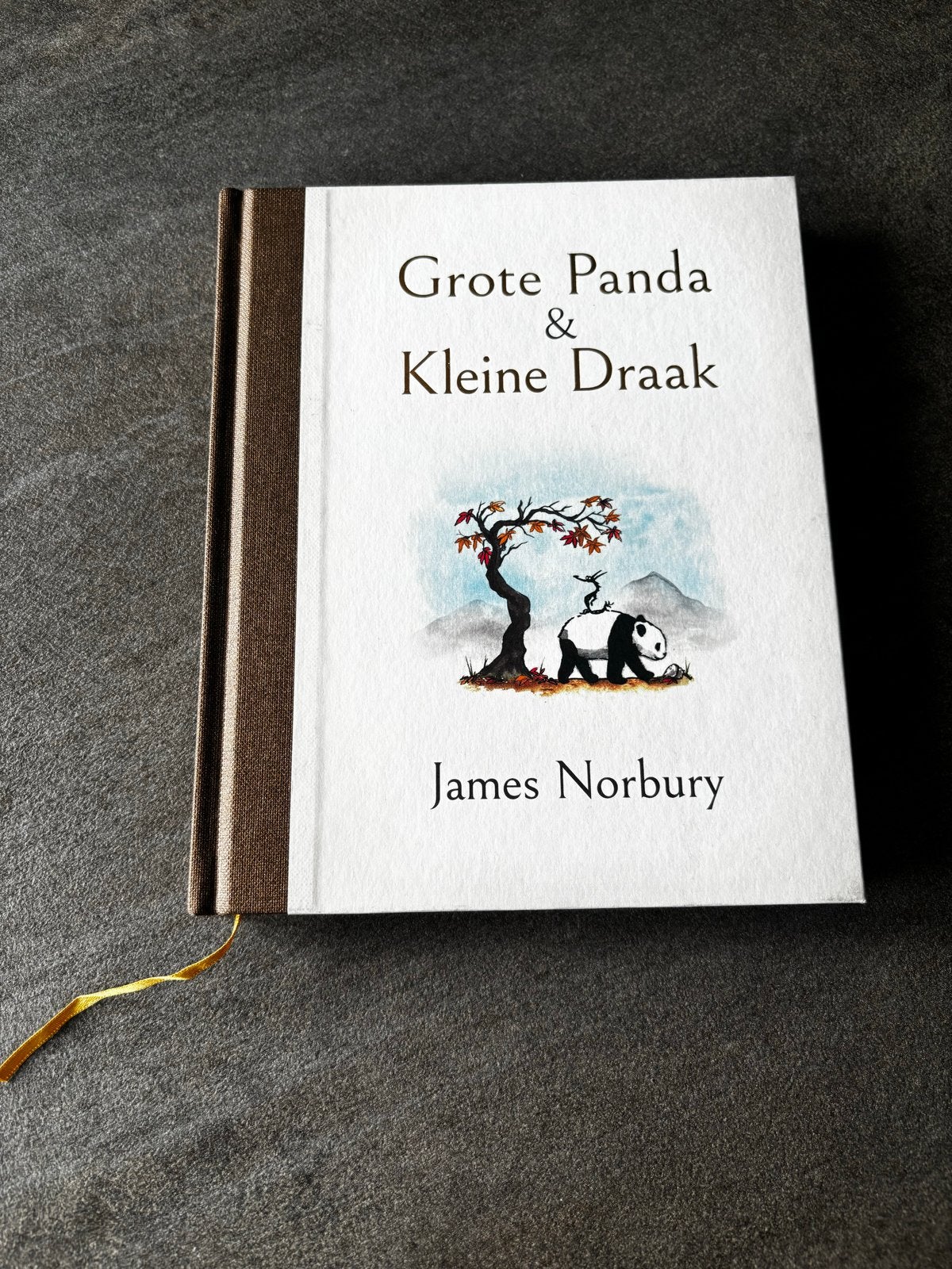 Grote Panda & Kleine Draak - James Norbury (Zo goed als nieu, Ophalen of Verzenden, Zo goed als nieuw, Europa overig
