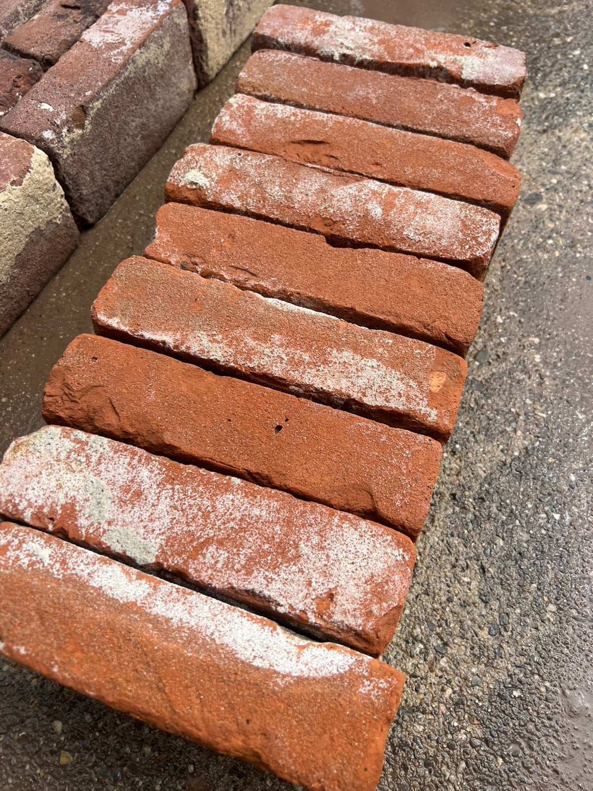 Oude oranje vormbak metselstenen gebikt 22 x 5.5 300M2, Ophalen of Verzenden, Zo goed als nieuw, Bakstenen