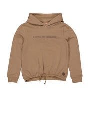 Nieuwe bruine hoodie maat 170/176 van Levv, Kinderen en Baby's, Kinderkleding | Maat 170, Meisje, Trui of Vest, Nieuw, Ophalen of Verzenden