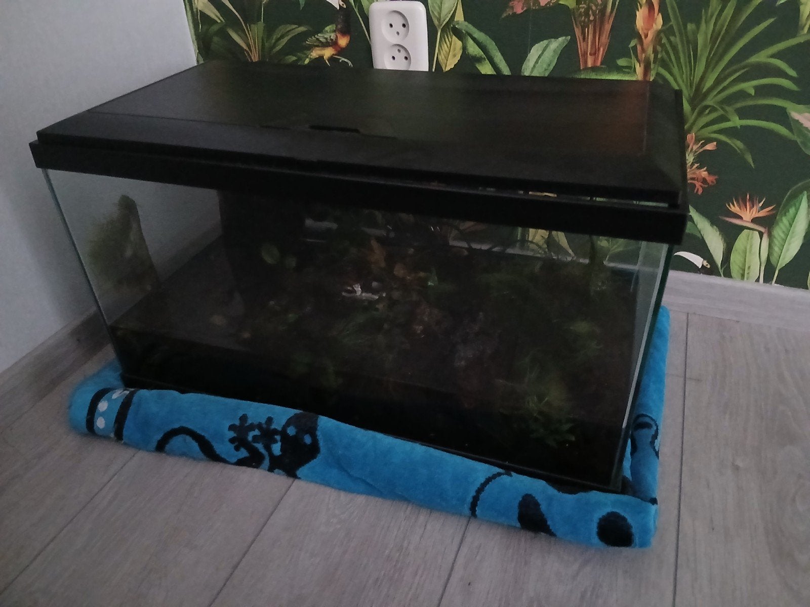 Aquarium Ciano met led verlichting 60 cm x 40 x 35 cm, Ophalen, Zo goed als nieuw, Leeg aquarium