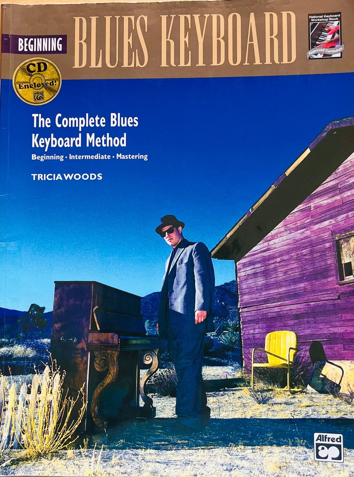 Cursus boek Beginning Blues Keyboard, Muziek en Instrumenten, Bladmuziek, Gebruikt, Les of Cursus, Ophalen of Verzenden, Blues