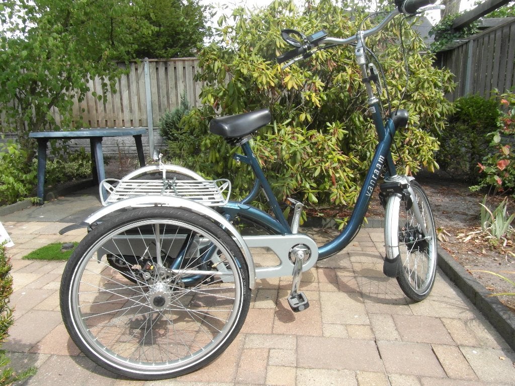 Van Raam Maxi E-driewieler fiets, Fietsen en Brommers, Fietsen | Driewielfietsen, Ophalen, Gebruikt, Van Raam