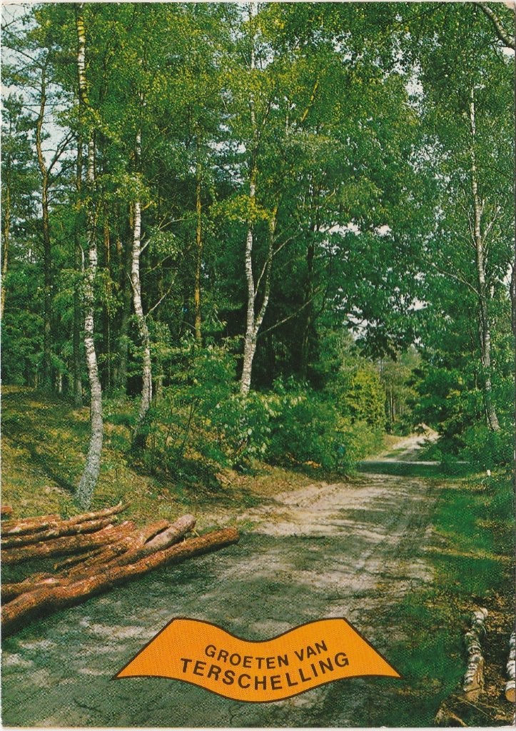 TERSCHELLING Bospad, Verzenden, 1980 tot heden, Gelopen, Waddeneilanden