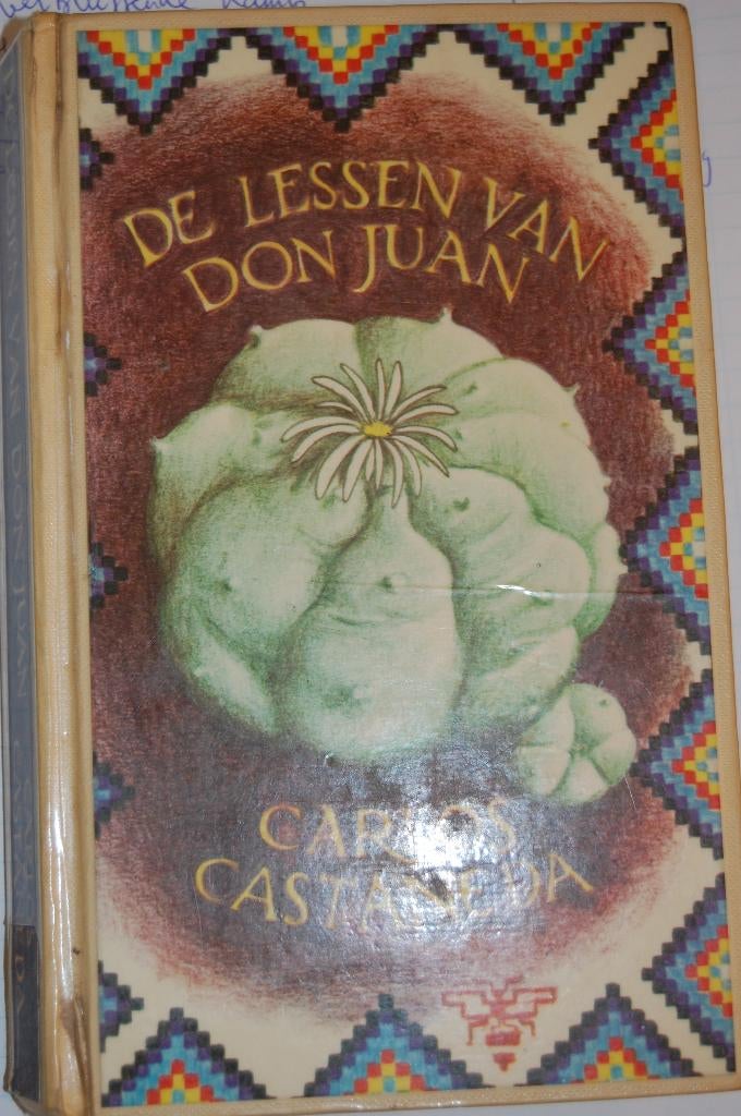 Carlos Castaneda De Lessen van Don Juan, Gelezen, Ophalen of Verzenden, Carlos Castaneda, Spiritualiteit algemeen