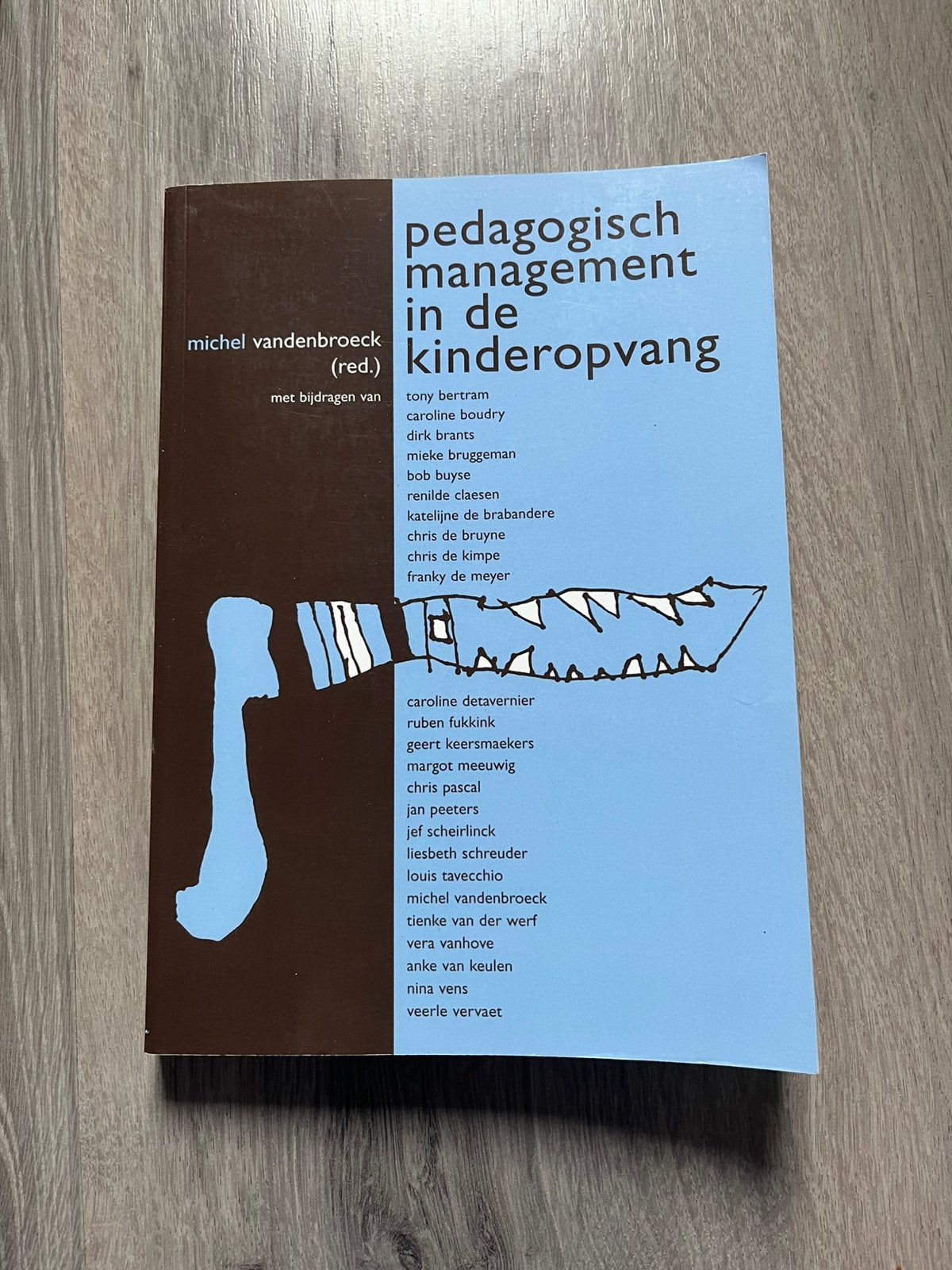 Pedagogisch Management in de kinderopvang, Boeken, Studieboeken en Cursussen, Ophalen of Verzenden, Zo goed als nieuw