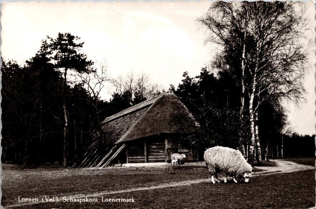 Loenen op de Veluwe - 12 oude ansichtkaarten III