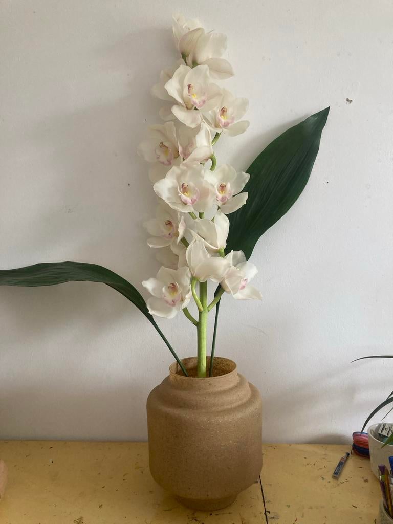 Orchidee in Pot, Ophalen, Zo goed als nieuw, Binnen