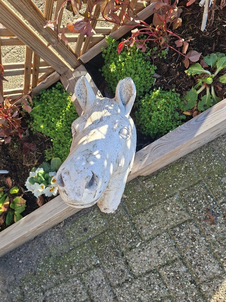 Vintage Betonnen Paardenhoofd Tuin Decoratie, Tuin en Terras, Ophalen, Gebruikt, Beton, Overige typen