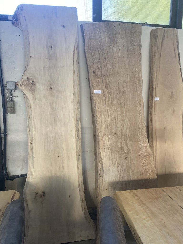 Boomstamplanken | Wandplanken | Eiken planken | Vensterbank, Doe-het-zelf en Verbouw, 25 tot 50 mm, Nieuw, Ophalen of Verzenden