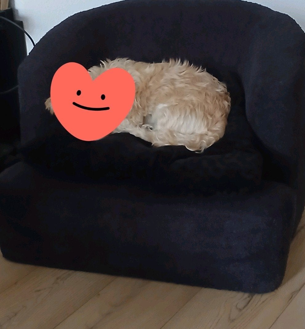 honden fauteauil, Dieren en Toebehoren, Ophalen, Gebruikt, Overige typen