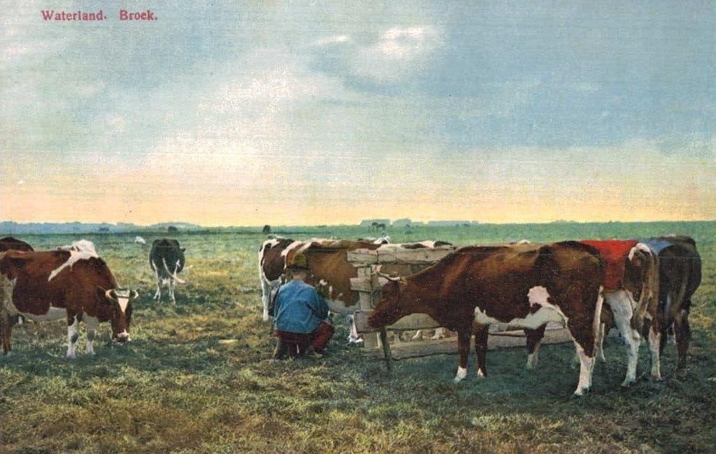 BROEK WATERLAND. Koeien melken, Ophalen of Verzenden, Voor 1920, Ongelopen, Noord-Holland