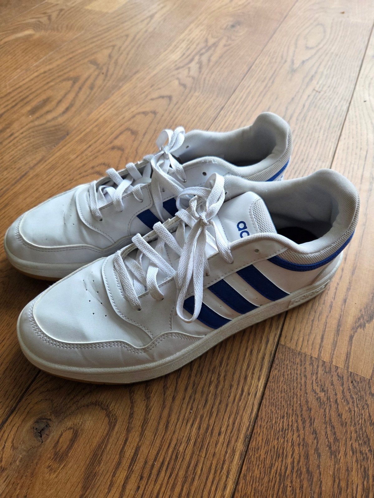 Adidas gymschoenen - maat 45 1/3, Adidas, L00, Schoenen, Ophalen of Verzenden