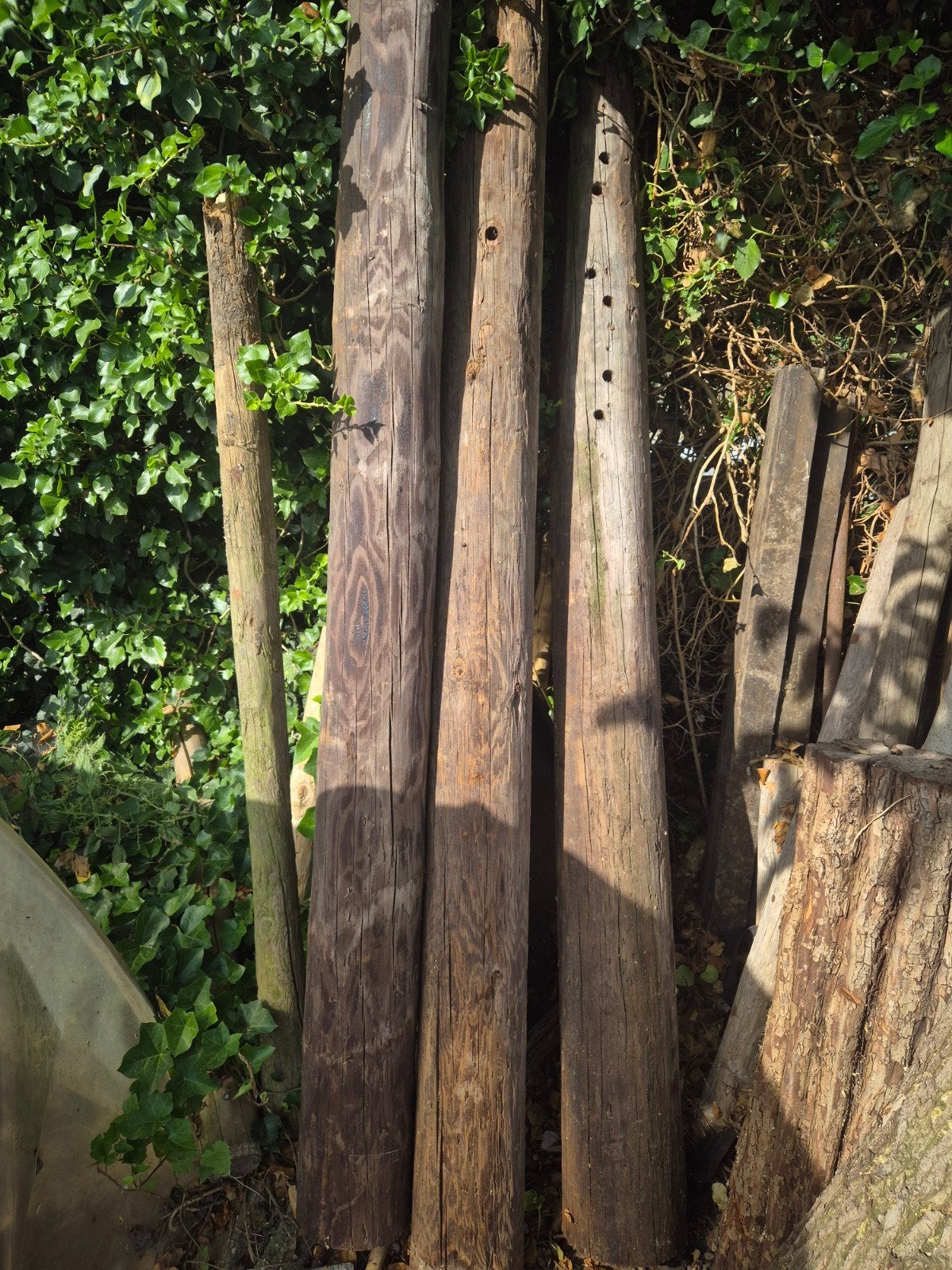 Gecreosoteerde palen, ca. 2 meter lang, ruim 15 cm dik, Ophalen, 250 cm of meer, Palen