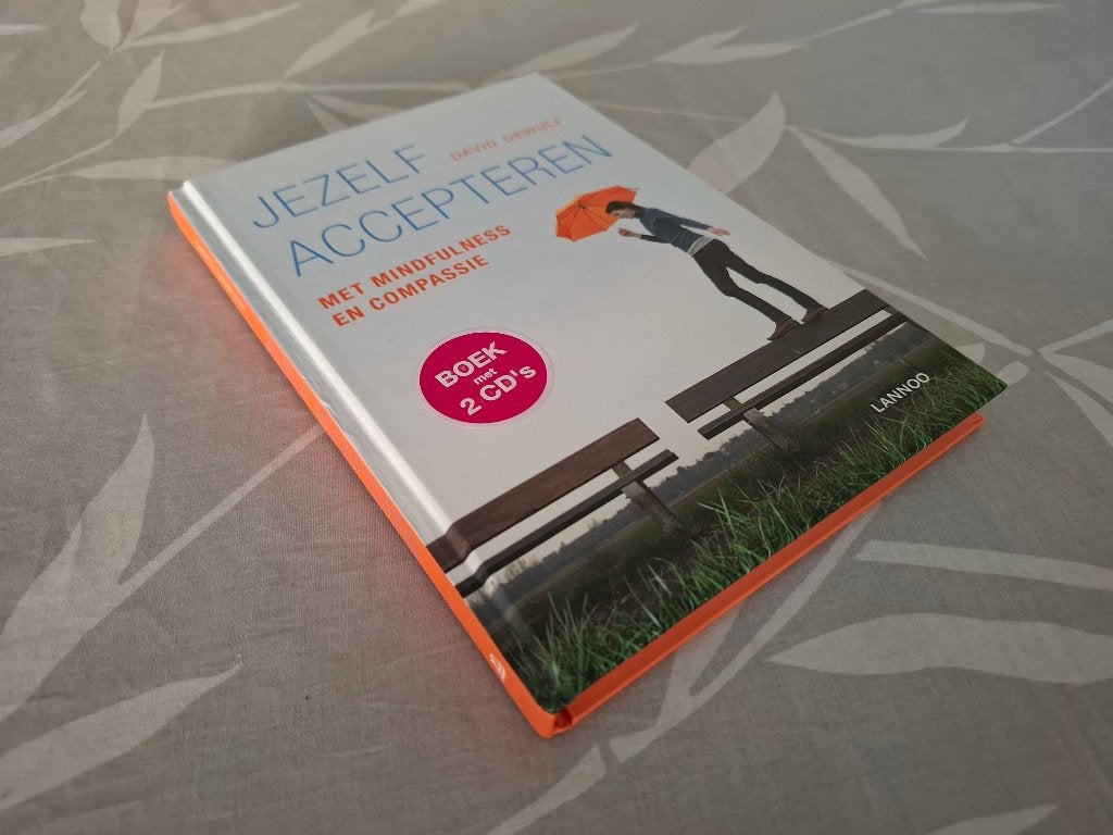 JEZELF ACCEPTEREN - David Dewulf (MET 2 CD's), Ophalen of Verzenden, Zo goed als nieuw, David Dewulf