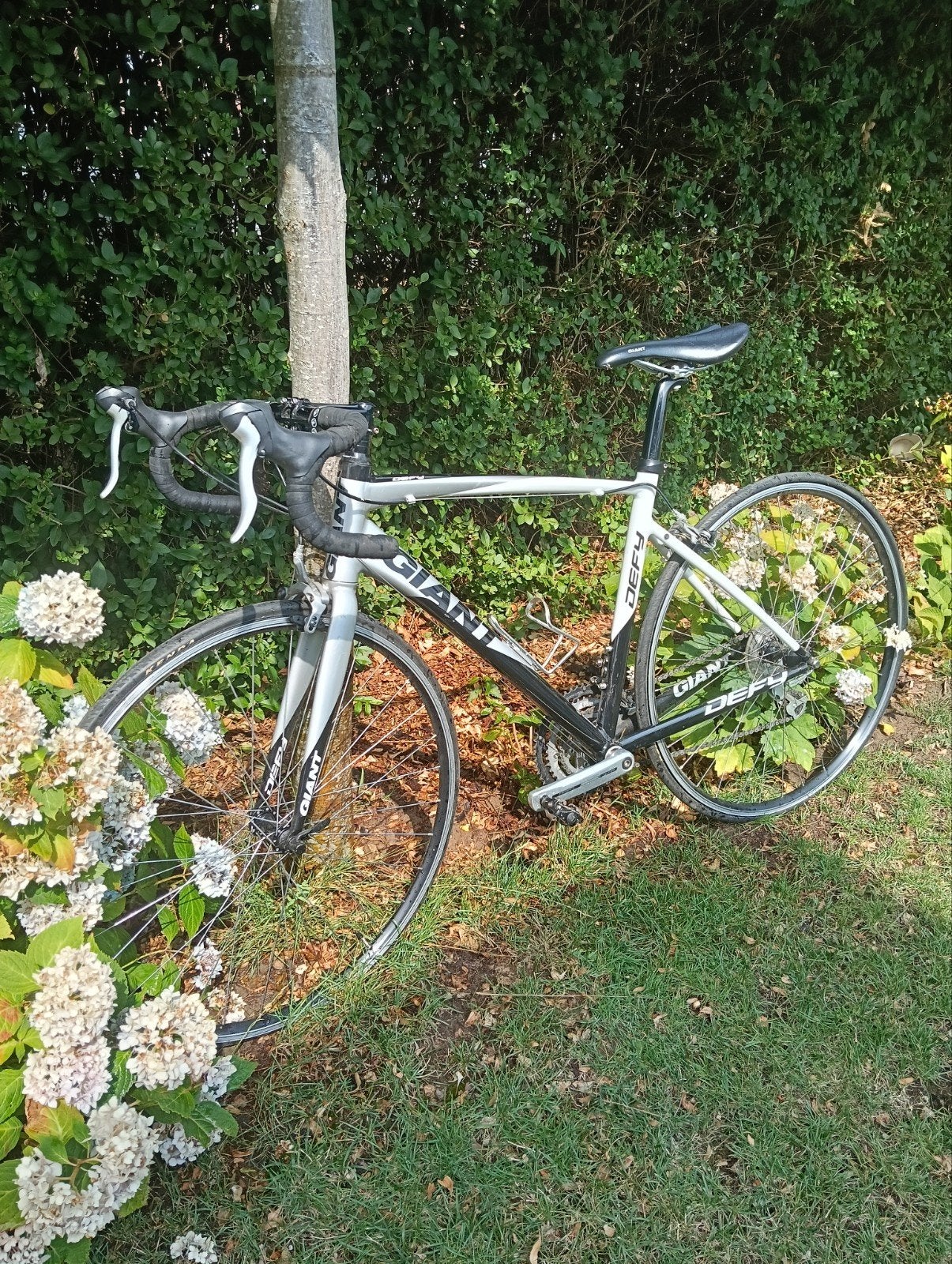 Giant fiets met versnellingen - banden aan vervanging toe, Ophalen, Gebruikt, Giant