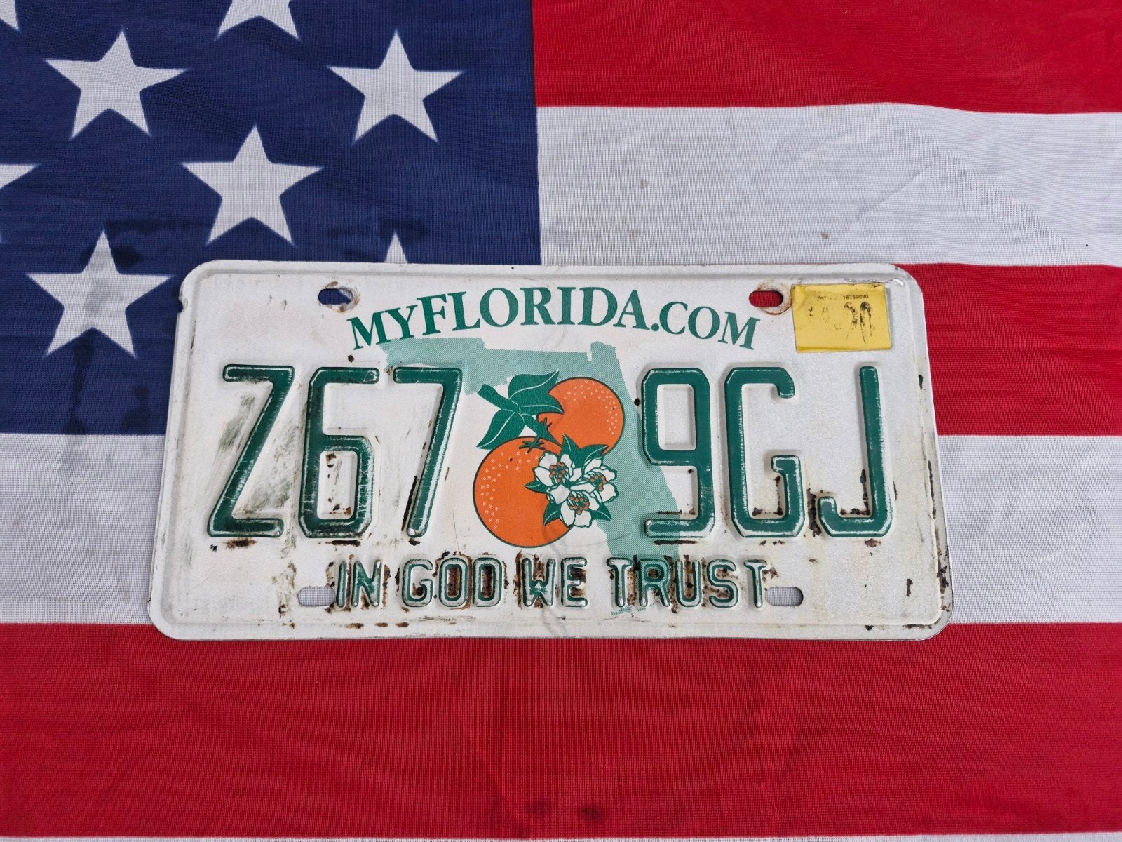 Florida Kentekenplaat USA Nummerbord Nummerplaat License VS, Verzenden, Gebruikt, Auto's