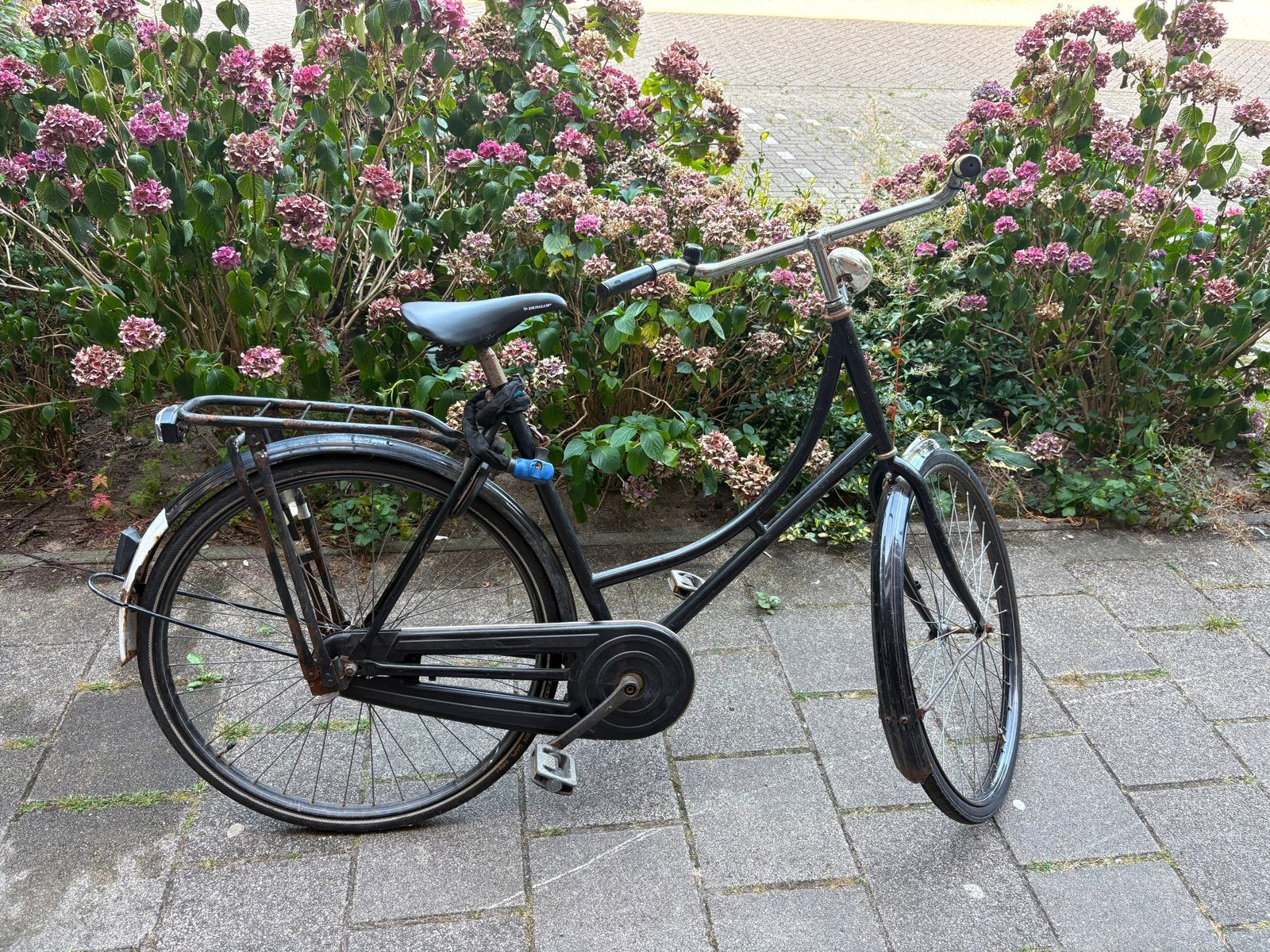 Degelijke Damesfiets, Terugtraprem, Ophalen, Overige merken, 53 tot 56 cm