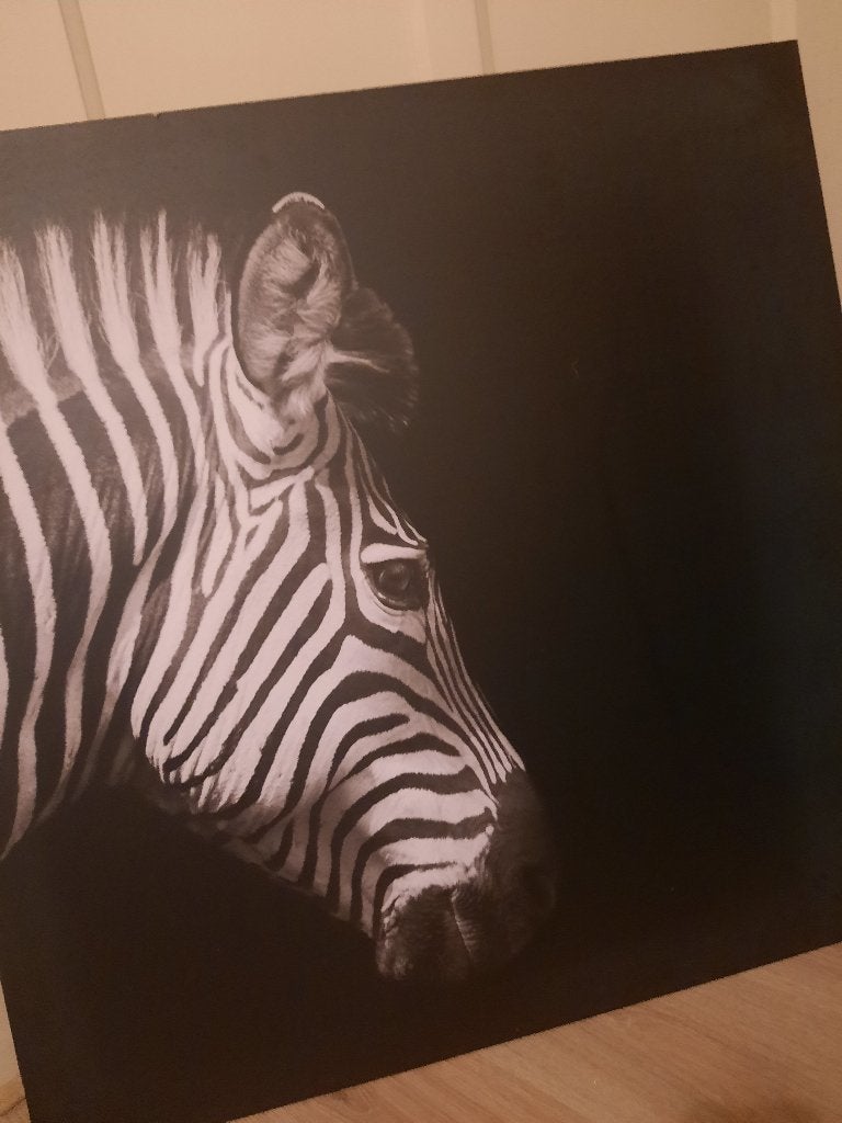 Zebrakop in zwart wit voor een statement in huis / werkplek, Ophalen, 75 tot 100 cm, Schilderij, 75 – 100