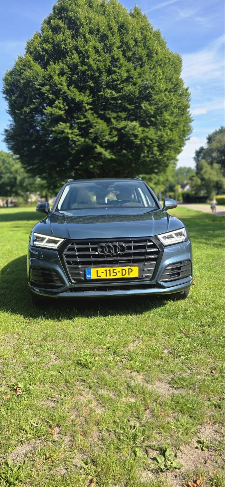 Audi Q5 2.0 Tfsi Quattro 252pk S Tronic 2017 Blauw, Auto's, Audi, 4 cilinders, Blauw, 14 km/l, Particulier