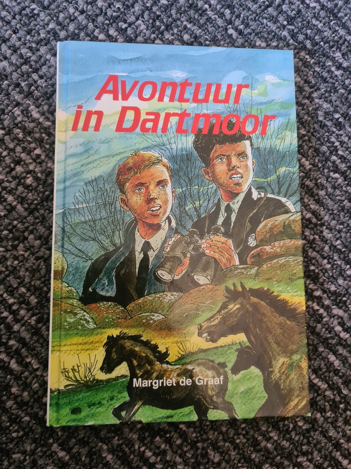 Avontuur in Dartmoor - Margriet de Graaf, Boeken, Ophalen of Verzenden, Gelezen, Margriet de Graaf