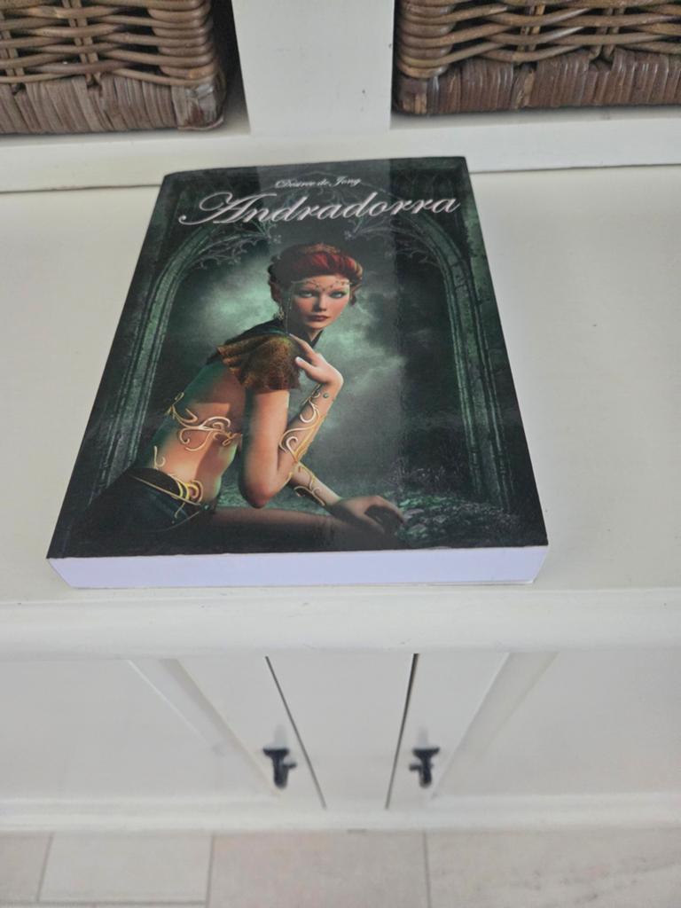 Desiree de jong - Andradorra, Boeken, Ophalen of Verzenden, Gelezen