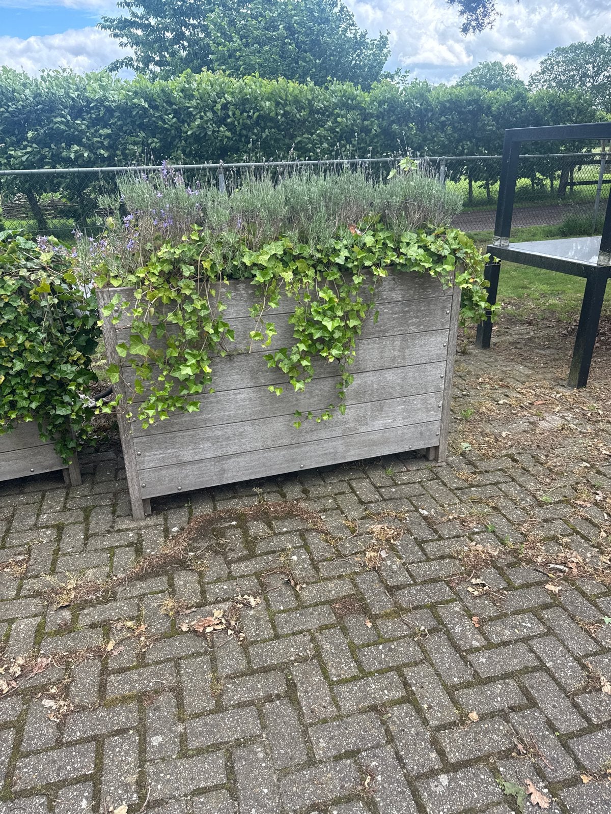 Robuuste houten plantenbakken voor buiten, Tuin en Terras, Bloembakken en Plantenbakken, Gebruikt, 100 cm of meer, Balkon, Ophalen of Verzenden