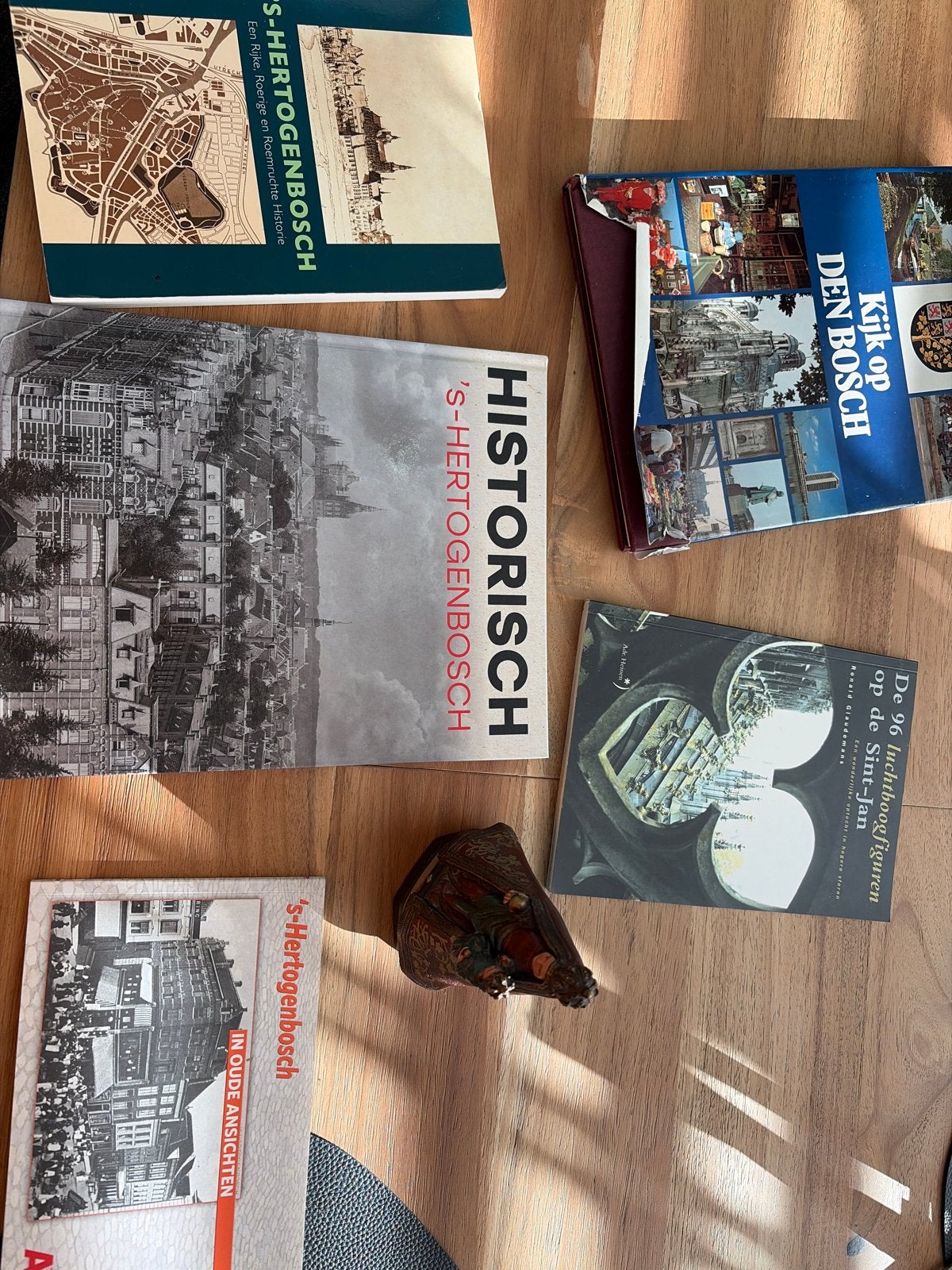 Boeken over 's-Hertogenbosch - Geschiedenis en Cultuur, Ophalen of Verzenden, 20e eeuw of later, Gelezen