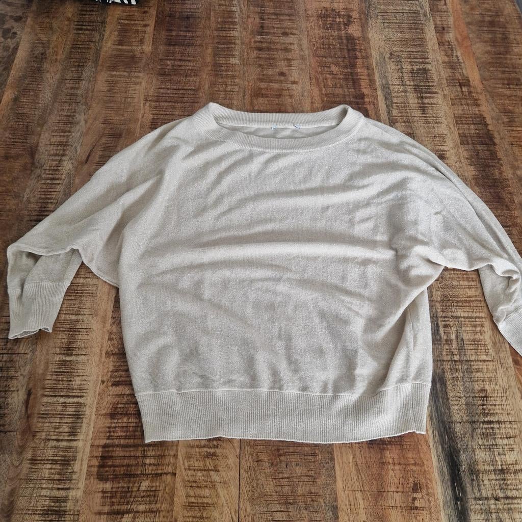 TE KOOP MOOIE DAMES TRUI SHOEBY MAAT M, Ophalen of Verzenden, Zo goed als nieuw, Maat 38/40 (M), Grijs