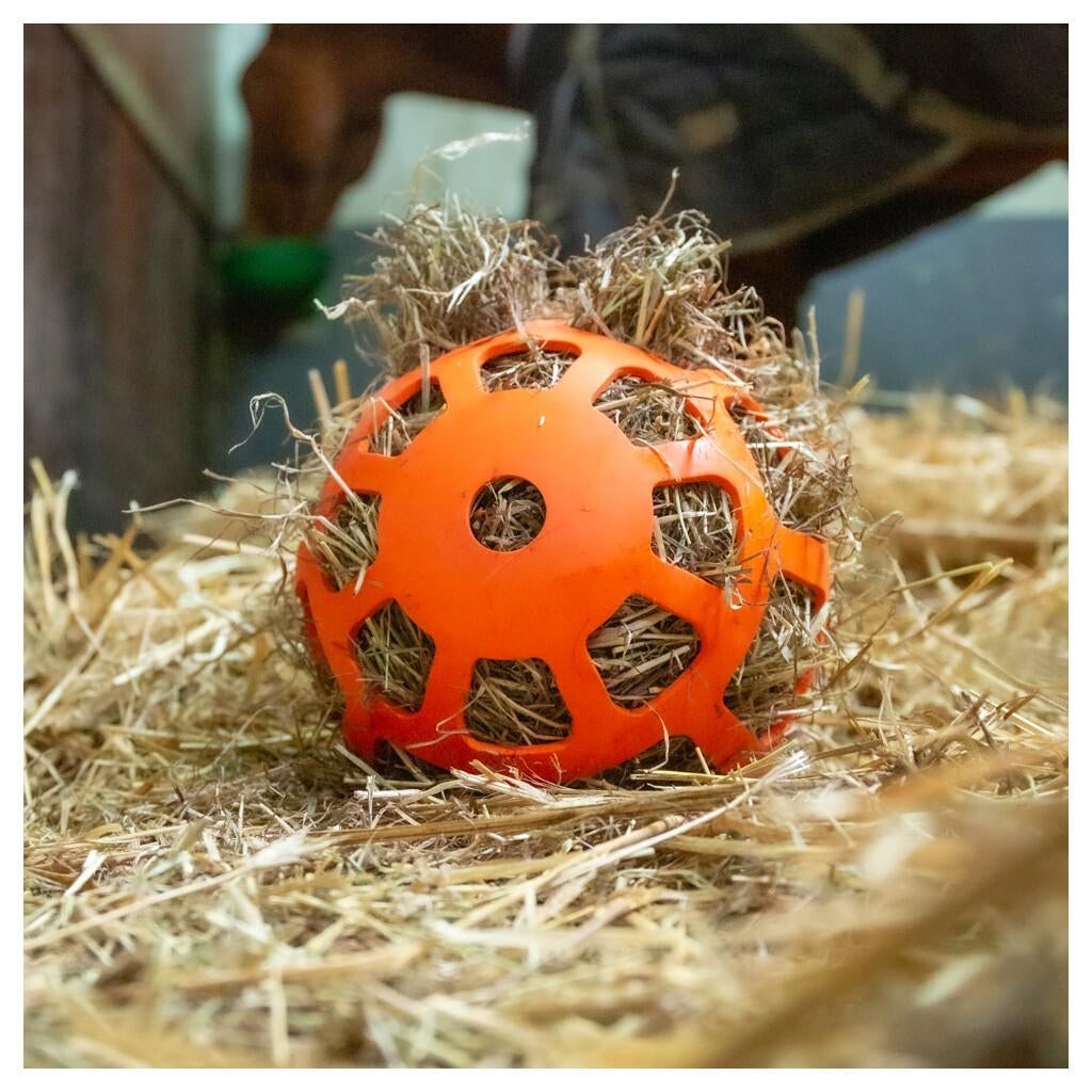 Slowfeeder bal of wortel, Dieren en Toebehoren, Paarden en Pony's | Overige Paardenspullen, Ophalen of Verzenden, Nieuw, Overige soorten