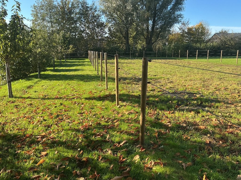 Afrasterring paardenbak, Toebehoren, 2 of 3 paarden of pony's
