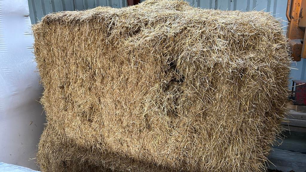 Oud structuurhooi baal gehakseld en gedroogd, Dieren en Toebehoren, Dierenvoeding, Ophalen of Verzenden, Vee