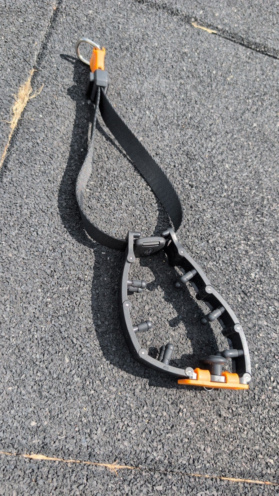 prong collar, Ophalen of Verzenden