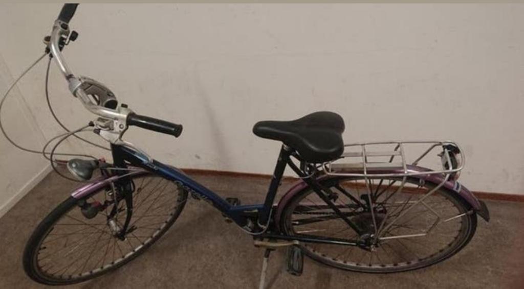 Gazelle Riacho (28 inch) – 24 versnellingen, Overige merken, Velgrem, Versnellingen, Ophalen of Verzenden