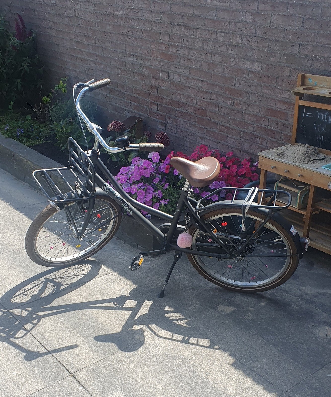 22 inch Alpina meisjesfiets., Ophalen, Gebruikt