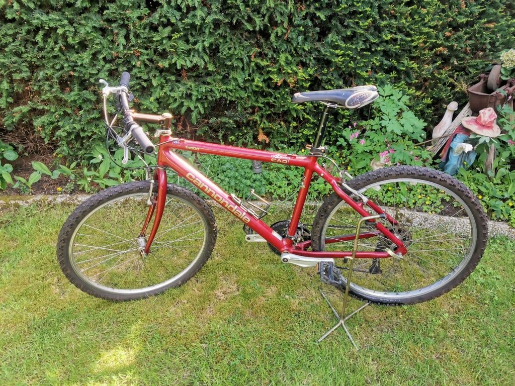 CANNONDALE Mountainbike, Ophalen of Verzenden, Overige merken